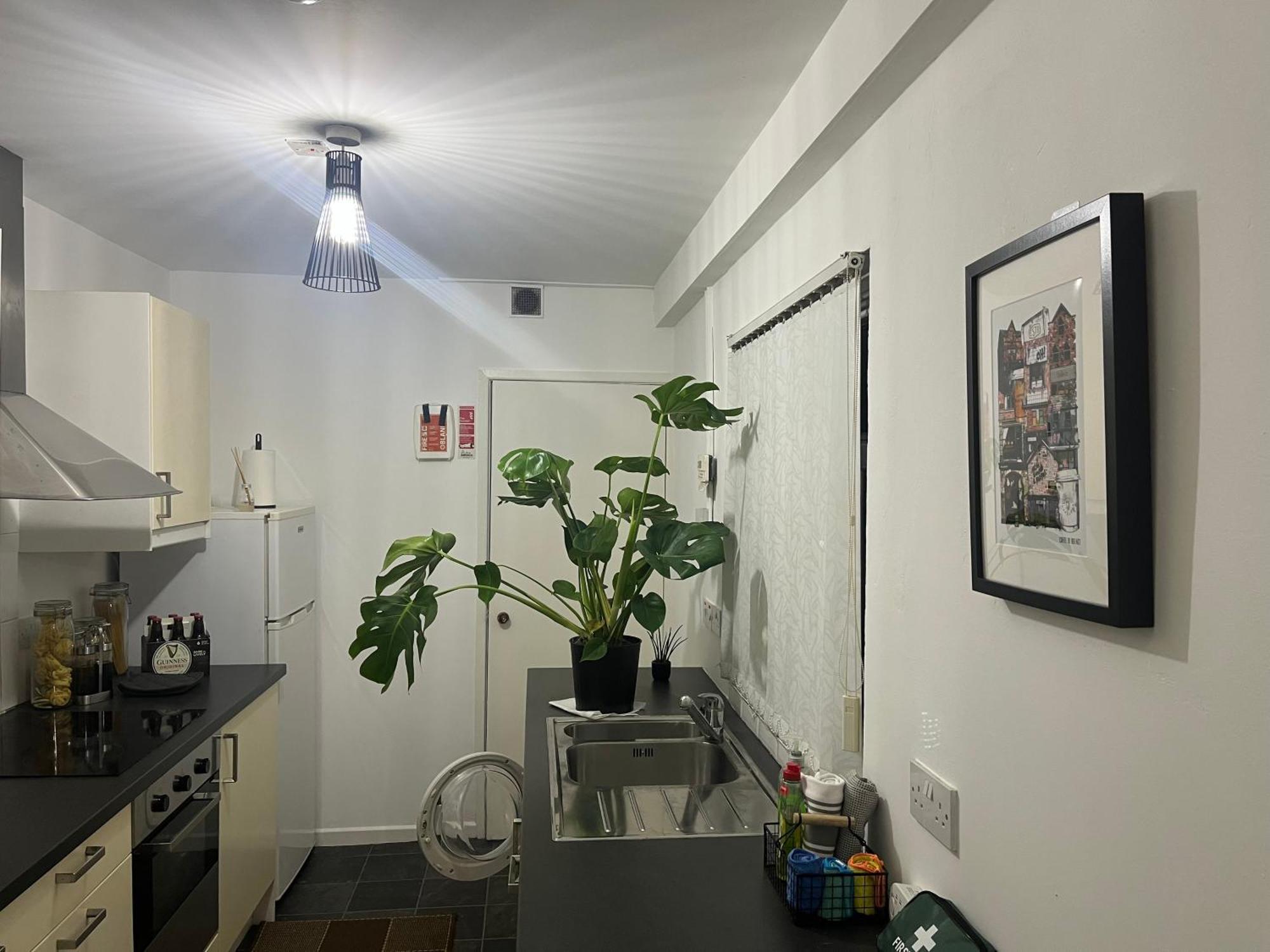 Loganberry Apartment Belfast