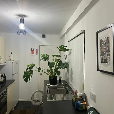 Loganberry Apartment Belfast Exterior photo
